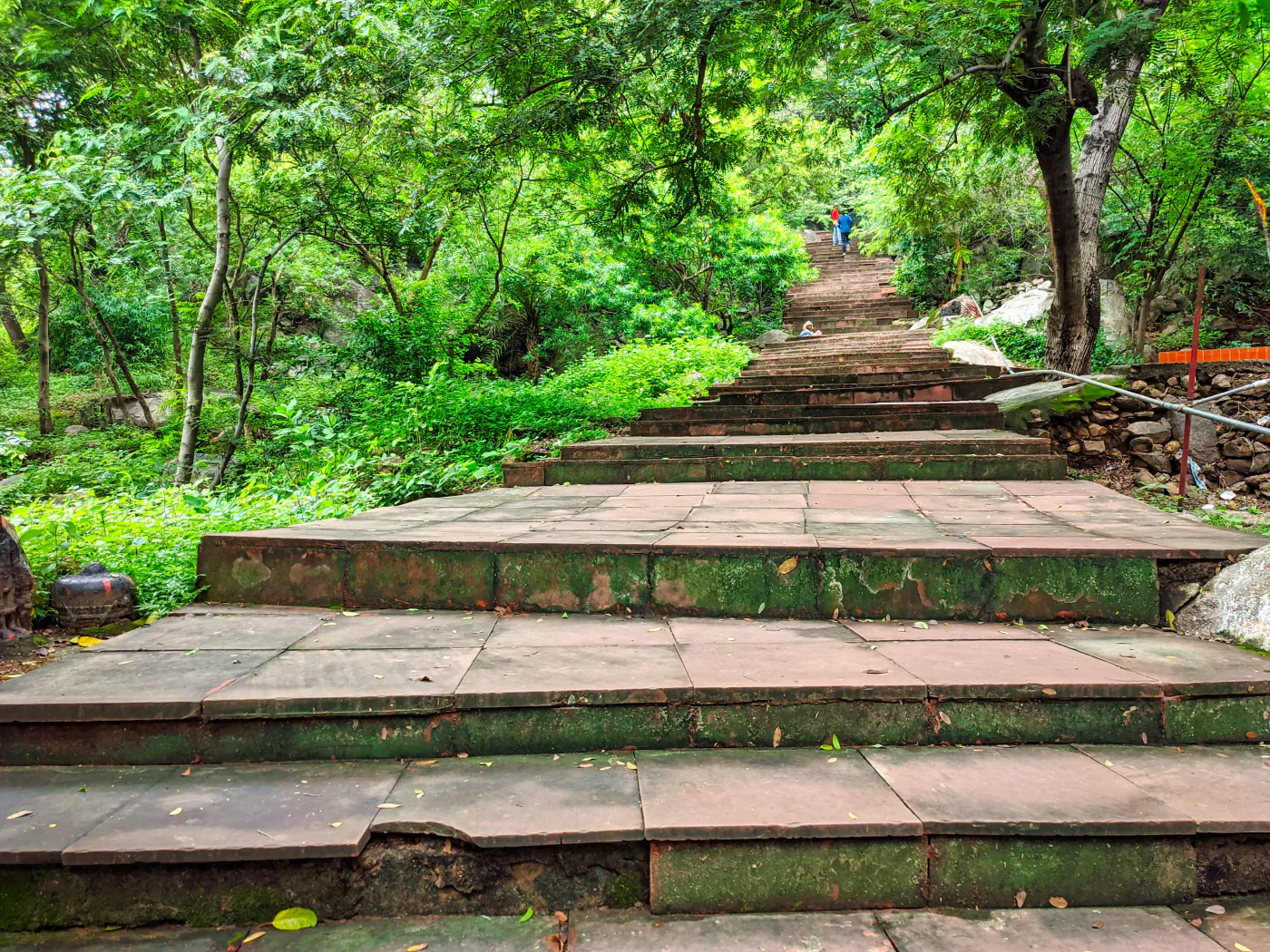Long stone steps rising through green trees on the approach to Pretshila in Gaya