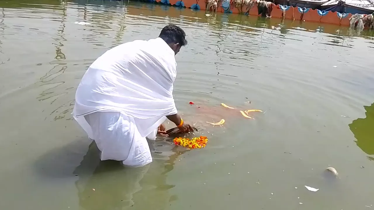 Man in white Dhoti performing Tarpan, offering flowers/items in the river for ancestors- Role of Til in Tarpan